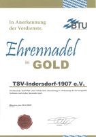 BTU-Ehrennadel in Gold 2023